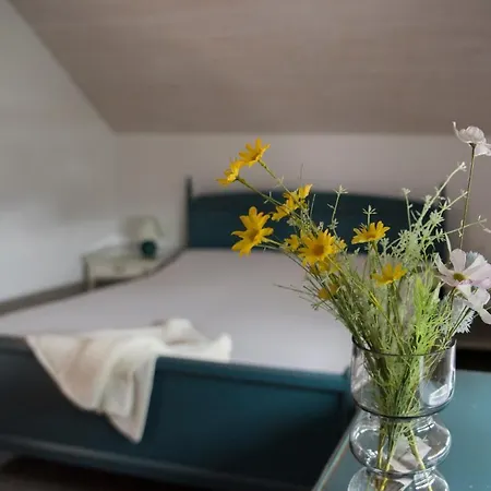 Dům U Lesa *